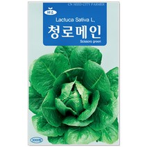 청농종묘 신선초 씨앗 100립 신선초씨앗 신선초씨 당귀 씨, 06_청로메인(3000립)