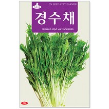 청농종묘 일당귀 씨앗 1g 일당귀씨앗 일당귀씨 당귀 씨, 25_경수채(15g)