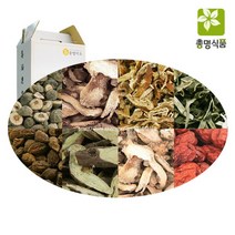 총명식품 지실양강청피진피차, 60팩, 100ml
