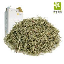총명식품 솔잎즙 기타건강즙, 60팩, 100ml