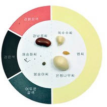 여러 가지 씨 관찰 5명 set RS1, 단품