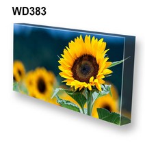 몽차 해바라기 캔버스액자 액자, WD383