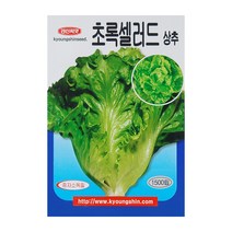 경신종묘 상추씨앗 초록셀러드상추 1500립