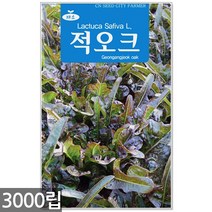 청농종묘 흰색 찰옥수수 씨앗 70립 옥수수씨앗 옥수수씨 씨 찰옥수수씨앗, 14_적오크(3000립)