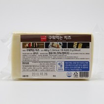 썬리취 구워먹는 치즈, 460g, 1팩