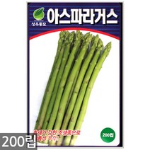청농종묘 노랑 초당옥수수 씨앗 100립 초당옥수수씨앗 노랑옥수수씨앗 옥수수씨앗 옥수수씨, 01_아스파라거스(200립)