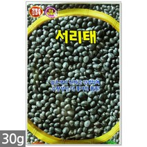 청농종묘 노랑 초당옥수수 씨앗 100립 초당옥수수씨앗 노랑옥수수씨앗 옥수수씨앗 옥수수씨, 02_서리태콩(30)g