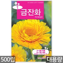 청농종묘 봉선화 씨앗 500립 봉선화씨앗 봉숭아씨앗 꽃씨앗 꽃 꽃씨 야생화씨앗 야생화 야생꽃씨, 03_대용량_금잔화(500립)