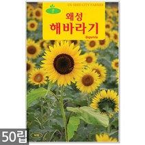 청농종묘 흰민들레 씨앗 100립 흰민들레씨앗 민들레씨앗 꽃씨앗 꽃씨 씨 야생화씨앗 야생화 야생꽃씨, 03_청농_왜성해바라기(50립)