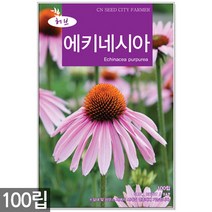 에키네시아 씨앗 100립 / 허브씨앗 에키네시아씨앗 허브씨 허브 여름꽃씨 씨, 10_허브_에키네시아(100립)