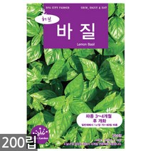 스피아민트 씨앗 2000립 / 허브씨앗 스피아민트씨앗 허브씨 허브 스피아민트씨 씨, 07_허브_바질(200립)