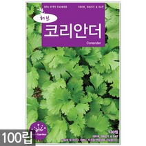 스피아민트 씨앗 2000립 / 허브씨앗 스피아민트씨앗 허브씨 허브 스피아민트씨 씨, 14_허브_코리안더(100립)