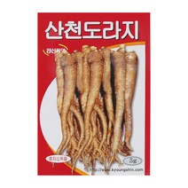 경신종묘 도라지씨앗 산천도라지 5g, 1개