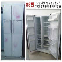 삼성전자 양문형냉장고, 양문형냥장고