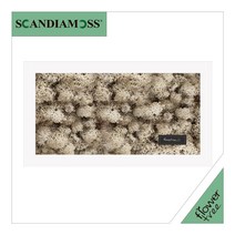 미세먼지 철벽방어! 실내공기정화식물 스칸디아모스 모음 천연이끼, 25.직사각스칸디아액자set 30cmP-네츄럴