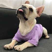 볼독 강아지 커플룩 여름옷 애견견주 커플룩 커플옷 불독 옷, 퍼플