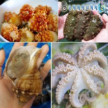 [굴철철] 제철 해산물 골라담기, 1개, 해삼500g