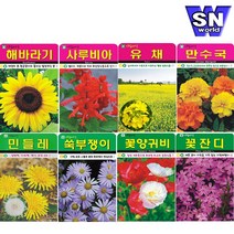 SN월드 씨앗 상추 방울토마토 당근 고추 양파 허브 새싹 꽃씨 야생화, ▶g야생화◀ ★(야생화-원추리30립)