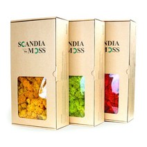 스칸디아모스 30g 50g 100g 500g 순록이끼 수업재료 공기정화, 모스그린500g