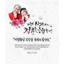 애니데이파티 청춘을 응원 현수막 (포토형), 고희(칠순)