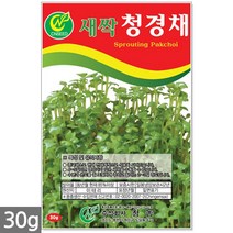 귀리 새싹 씨앗 50g / 새싹씨앗 귀리씨앗 귀리새싹씨앗 새싹귀리 귀리씨 캣그라스 캣글라스 고양이풀, 19_새싹씨앗_청경채(30g)