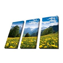 사진 한장을 액자 세개로 만든 3분할 캔버스액자, TF013