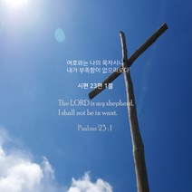 [대양] 성경말씀 안경닦이 S(15x18cm)-100장