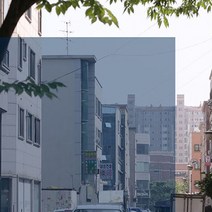 포커스더블유 자외선차단 99% 국산 썬팅지 17종, DBU20