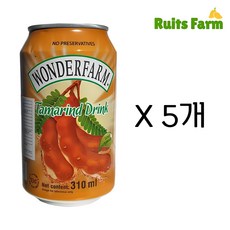 [루츠팜]원더팜 타마린드 310mlX5개 타마린 베트남 음료수, 310ml, 5개