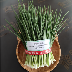 [생산자 직접판매] 포항 영일만 쪽파 / 다듬어 손질한 해풍 깐쪽파 /국내산 햇쪽파 /, 1개, 1kg