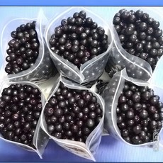 특품 꼭지제거 햇 아로니아 급속냉동생과 3kg 5kg 10kg 선물용 에어세척완료