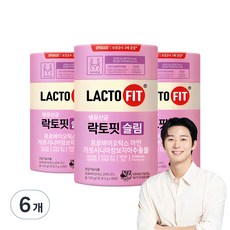 락토핏 슬림 유산균, 120g, 6개