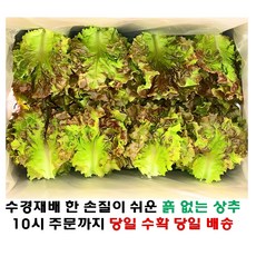 (쌈바쌈바) 산지 직배송 꽃상추 1kg 2kg 4kg [국산:경남고성군], 1개