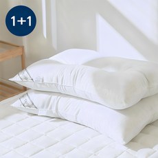 루시드슬립 1+1 국내산 지퍼형 항균 새솜 스탠다드 경추 베개솜, 2개