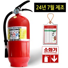애니원119 스프레이 가정용소화기 555g 1개 실버 상품 이미지