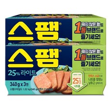 스팸 CJ 마일드 라이트, 6개, 340g 340g, 6개