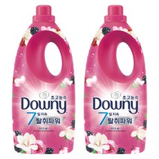 다우니 고농축 섬유유연제 목련과 베리 본품, 2L, 2개