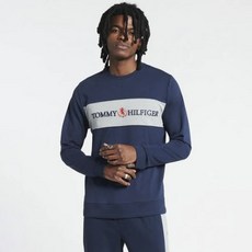 Tommy Hilfiger Modern Essentials 3-D 徽章圓領運動衫