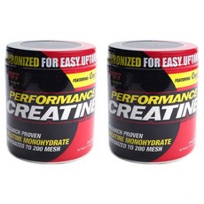SAN PERFORMANCE肌酸錠, 300g, 2罐