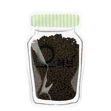 오은영차전자피