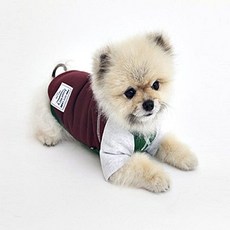 꼬떼아꼬떼나시