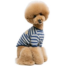 반려동물베이커리전문가책