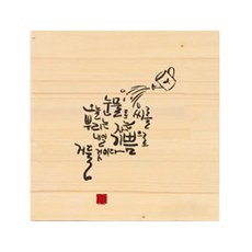 눈부시게아름다운사진들