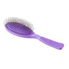 양평쉬자파크두물머리강아지