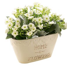 3d299248-1146-431c-8cd2-676626d274b2.jpg