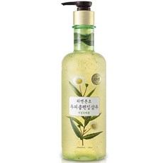 리엔 본초 두피클렌징 샴푸 지성두피용, 500ml, 1개
