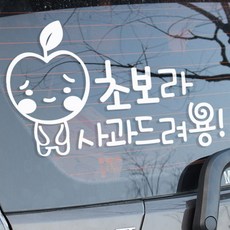 사과초보 차량용 스티커, 화이트, 1개