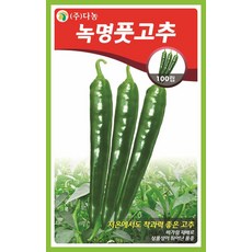 고추씨앗 TOP01