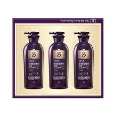 려 자양윤모 브랜드 한방샴푸 선물세트 + 쇼핑백, 400ml, 5세트