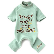 바이셀 trust me 반려견 올인원, 민트